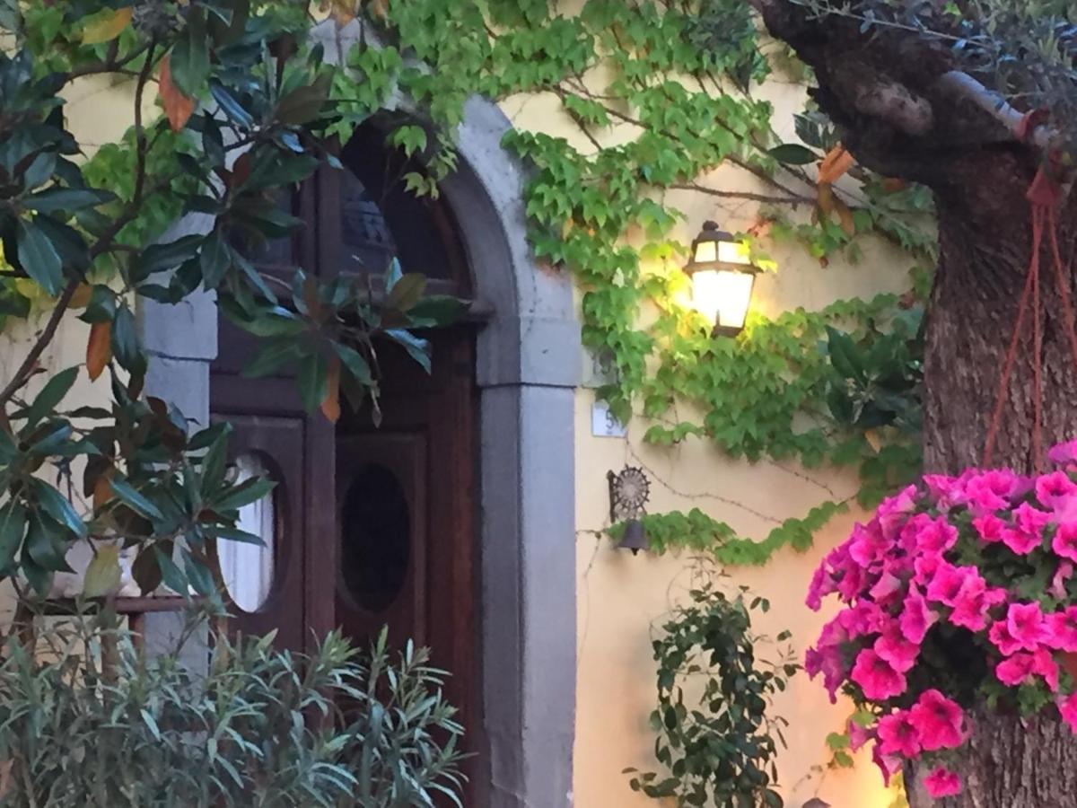 Il Sole Del Sodo Guest House Cortona Exterior foto