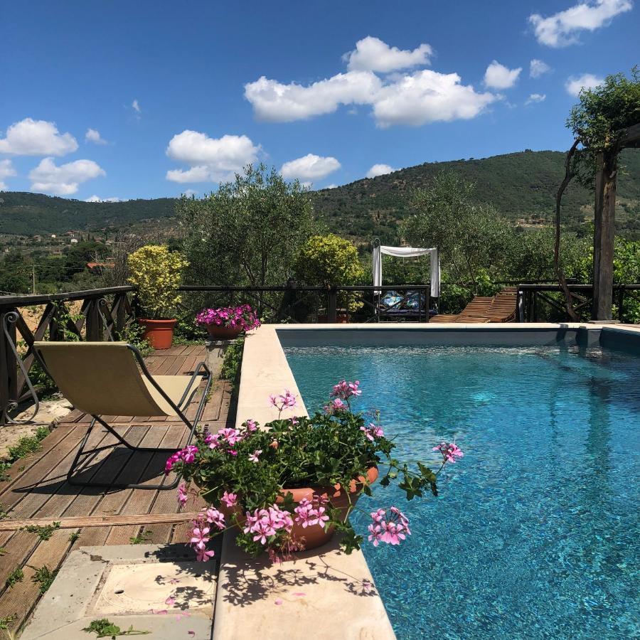Il Sole Del Sodo Guest House Cortona Exterior foto
