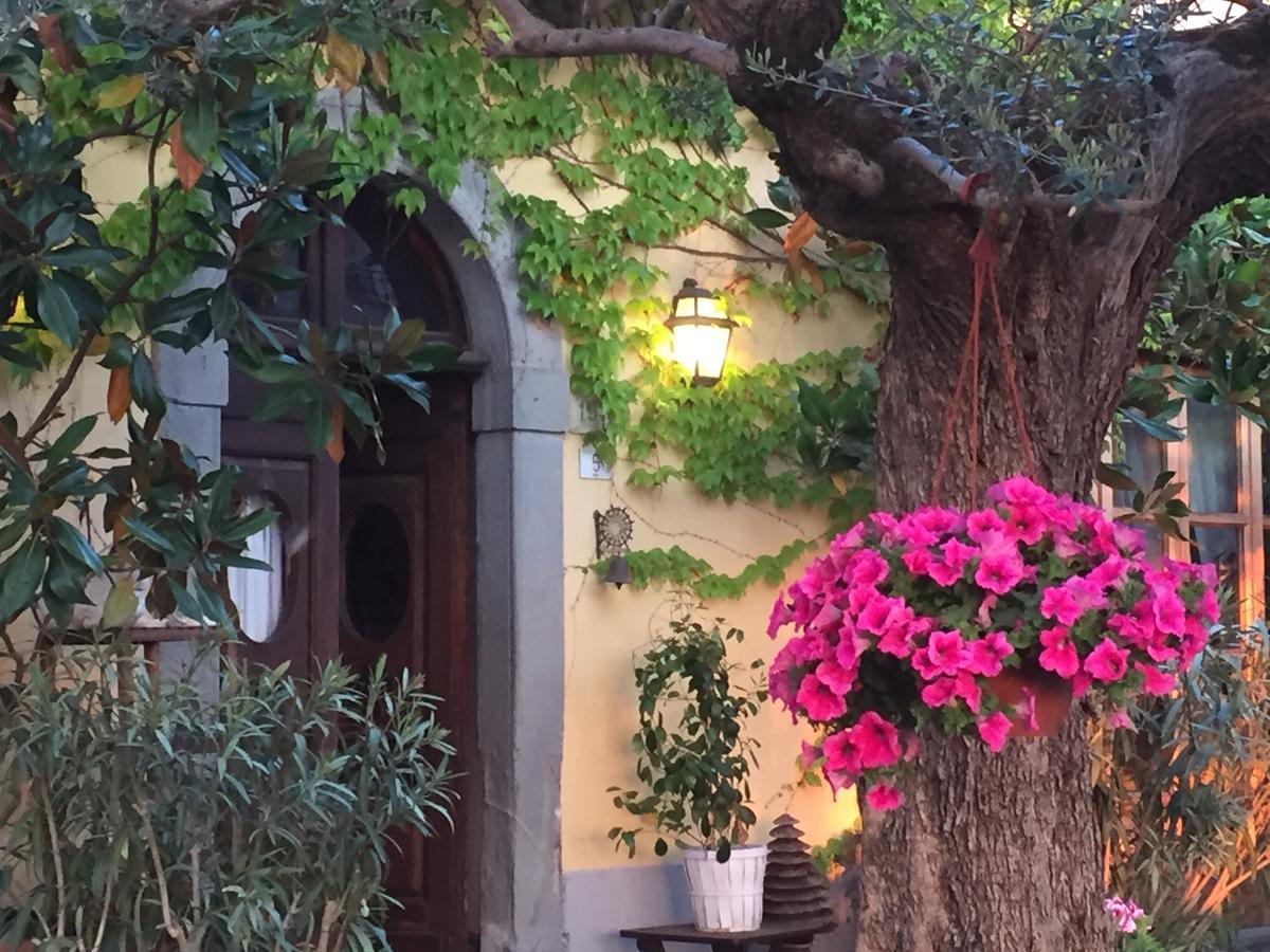 Il Sole Del Sodo Guest House Cortona Exterior foto