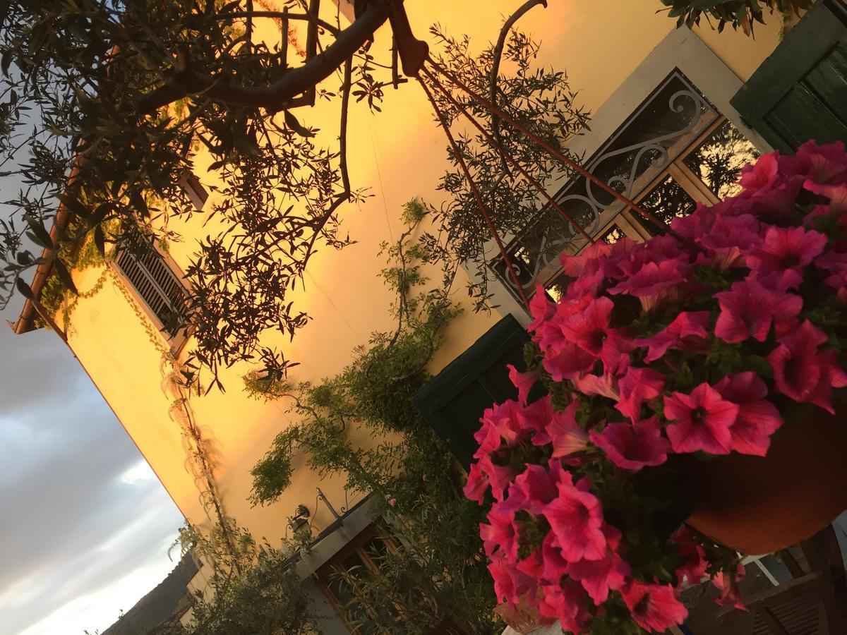 Il Sole Del Sodo Guest House Cortona Exterior foto