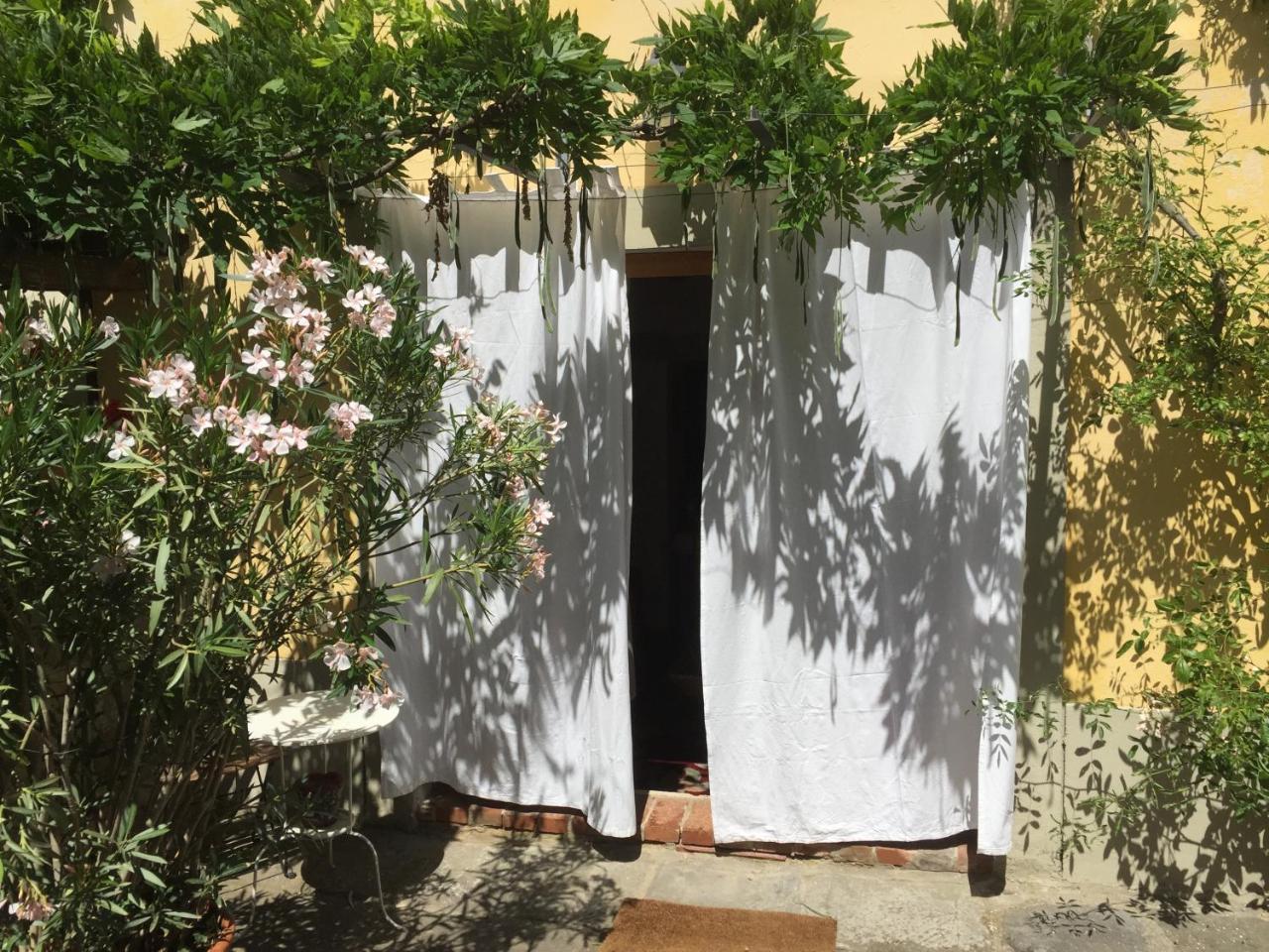 Il Sole Del Sodo Guest House Cortona Exterior foto